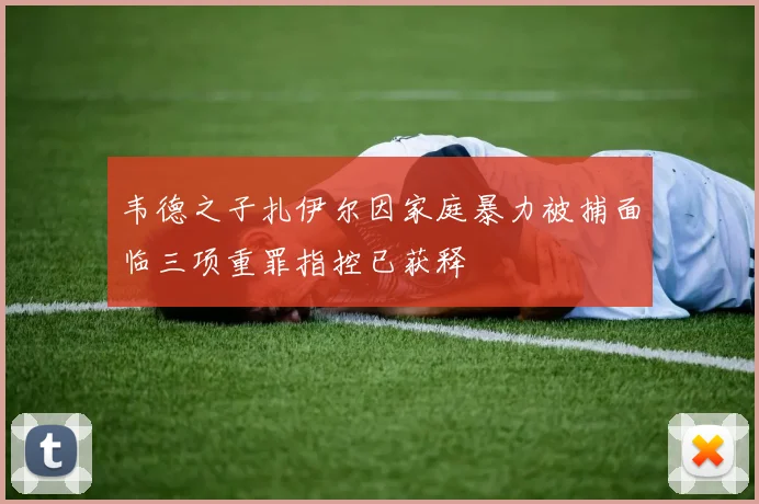 韦德之子扎伊尔因家庭暴力被捕面临三项重罪指控已获释