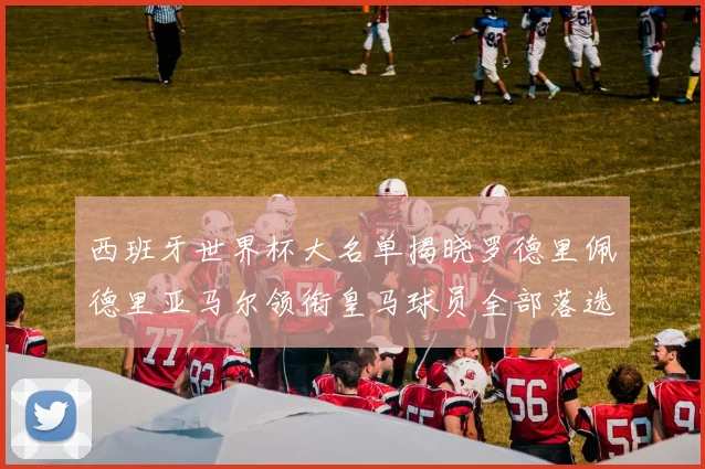 西班牙世界杯大名单揭晓罗德里佩德里亚马尔领衔皇马球员全部落选