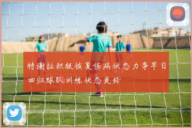 特谢拉积极恢复伤病状态力争早日回归球队训练状态良好